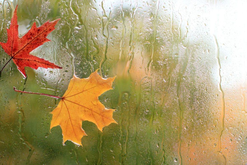 Orų prognozė Visų Šventųjų savaitgaliui: sinoptikė pataria būti pasiruošusiems. Sekmadienio orai vėl keisis