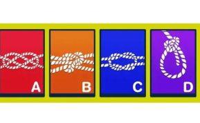 Pasirinkite mazgą ir sužinokite daugiau apie savo asmenybę. Nuotraukos šaltinis pm1.aminoapps.com