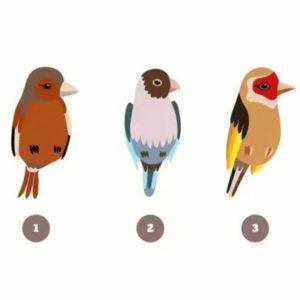 Paukšteliai pačiulbės, kokį pirmą įspūdį paliekate žmonėms: psichologinis testas