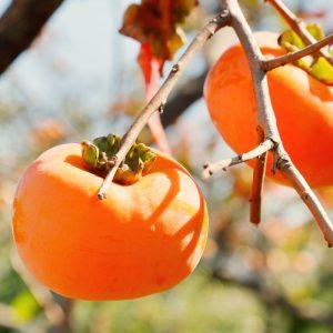 Persimonai jus išgelbės nuo šių 7 problemų: širdis, nuotaika ir oda – dėkingos