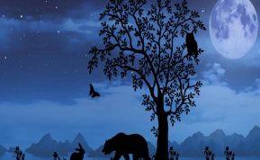 Pirmasis gyvūnas, kurį pamatėte, atskleis jūsų pasąmonės paslaptis. Nuotraukos šaltinis: morezprav.cz