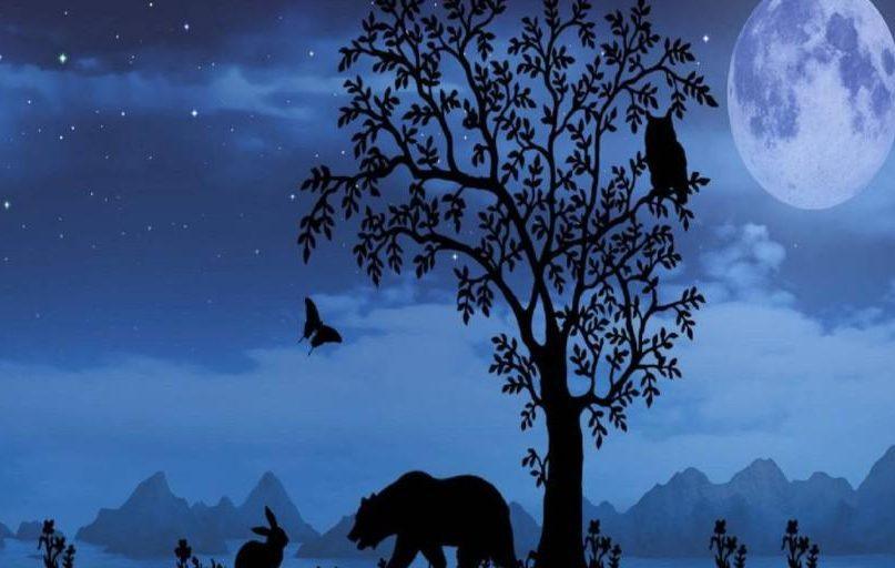 Pirmasis gyvūnas, kurį pamatėte, atskleis jūsų pasąmonės paslaptis. Nuotraukos šaltinis: morezprav.cz