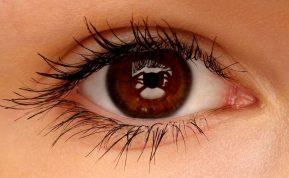 Priežastys, kodėl rudaakiai yra ypatingi ir turėtų tuo didžiuotis!