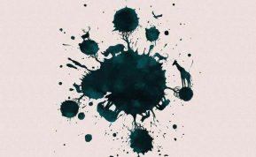 Psichologinis testas pagal paveikslėlį: kokį gyvūną pamatėte pirmiausia ir ką tai atskleidžia