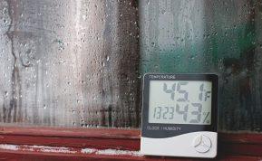 Rudenį dedu juos ant kiekvienos palangės ir drėgmės problema dingsta