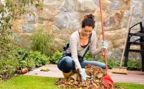 Rudens darbai sode: ką atlikti rugsėjį, spalį ir lapkritį