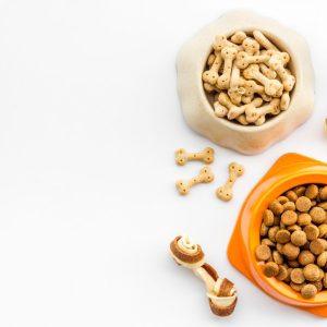 Sausas maistas šunims ir katėms: veterinaro paaiškinimas, ar jis kenkia virškinimui