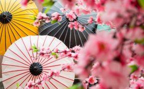 Ši japoniška ilgo ir laimingo gyvenimo paslaptis šiandien populiari visame pasaulyje