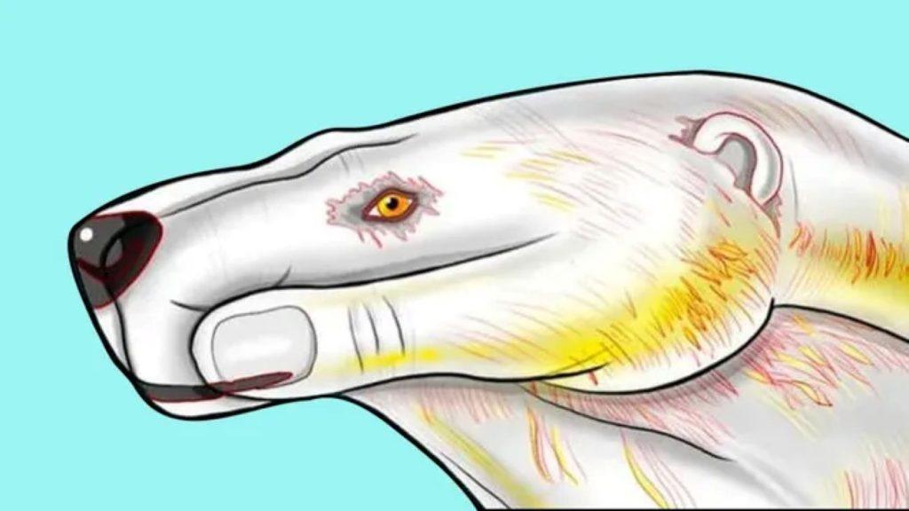 sichologinis testas paveikslėlis: sužinokite, kokia jūsų giliausia baimė