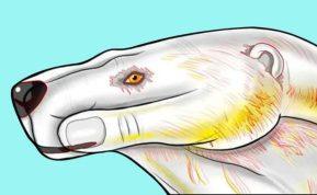 sichologinis testas paveikslėlis: sužinokite, kokia jūsų giliausia baimė