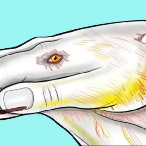 sichologinis testas paveikslėlis: sužinokite, kokia jūsų giliausia baimė