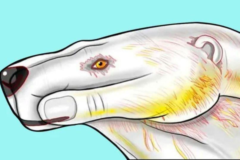 sichologinis testas paveikslėlis: sužinokite, kokia jūsų giliausia baimė