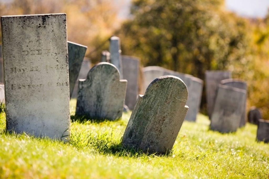 Šiurpą keliantys faktai apie Tesla: automobiliai fiksuoja vaiduoklius. Kai algoritmai praranda ribas