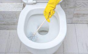 Supilkite tai į tualetą ir uždarykite dangtį.