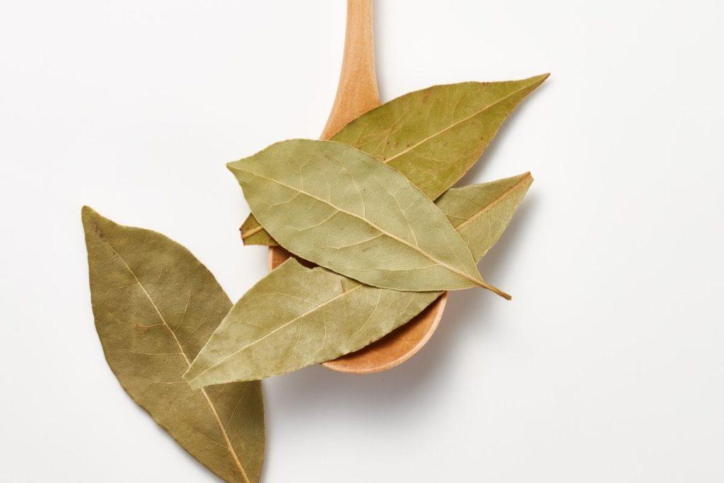 Sužinokite, kodėl senovėje namuose kartais degindavo lauro lapus! Kvapas, kuris valo ir ramina