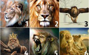 Testas: pasirinktas liūtas atskleis, kokio partnerio jums reikia! Šaltinis: cluch.net.ua