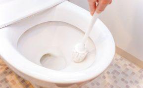 Tualeto valymas gali būti dar paprastesnis: tereikia įberti šios priemonės, nušveisti ir nuskalauti!