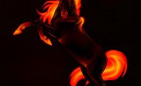 Ugninio Arklio metai 2026: kai aistra, jėga ir tradicijos