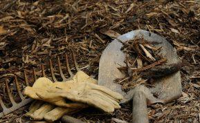 Gudrūs daržininkai rudenį daro šį veiksmą: sodo įrankių priežiūra prieš žiemą apsaugos derlių