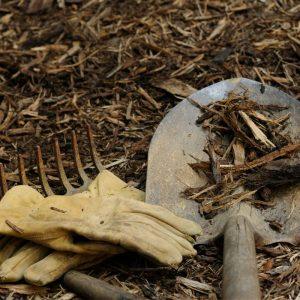 Gudrūs daržininkai rudenį daro šį veiksmą: sodo įrankių priežiūra prieš žiemą apsaugos derlių