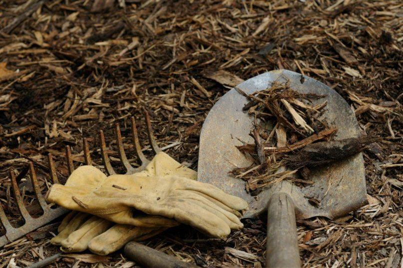 Gudrūs daržininkai rudenį daro šį veiksmą: sodo įrankių priežiūra prieš žiemą apsaugos derlių