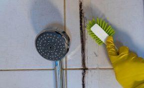 Užtepkite šią priemonę ant silikoninių  jungčių vonioje: pelėsis išnyks tiesiog akimirksniu!