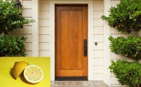 Vabzdžiai namuose: paprastas būdas juos išvyti naudojant citriną ir actą