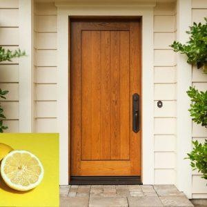 Vabzdžiai namuose: paprastas būdas juos išvyti naudojant citriną ir actą