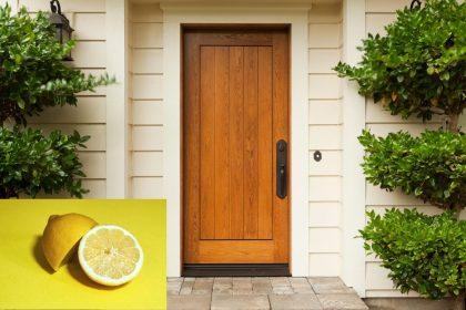 Vabzdžiai namuose: paprastas būdas juos išvyti naudojant citriną ir actą