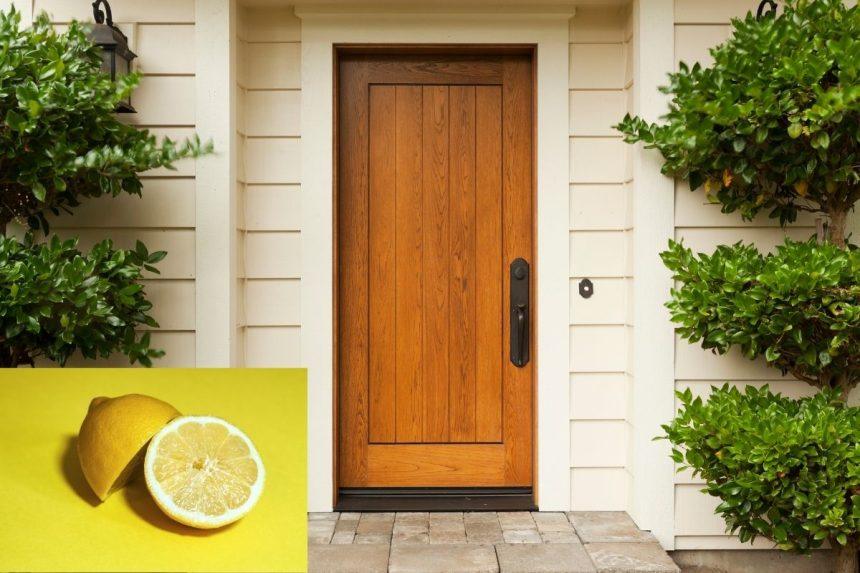 Vabzdžiai namuose: paprastas būdas juos išvyti naudojant citriną ir actą