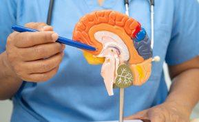 10 Alzheimerio ligos požymių. Laiku atpažinkite ligą!