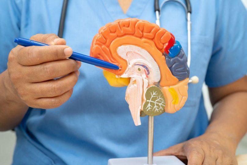 10 Alzheimerio ligos požymių. Laiku atpažinkite ligą!