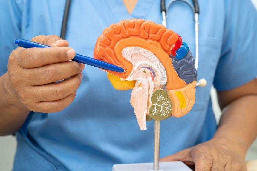 10 Alzheimerio ligos požymių. Laiku atpažinkite ligą!