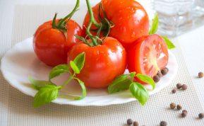 3 populiarios klaidos, kurias daro pomidorų augintojai: mitai ir tiesa