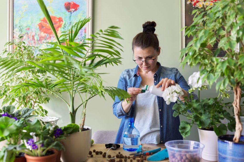 5 klaidos: naminis kambarinių augalų tręšimas – geriau jau ne!