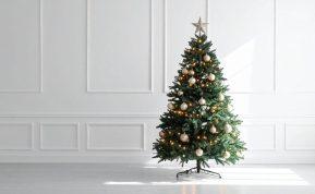 5 priežastys, kodėl verta papuošti eglutę lapkričio mėnesį