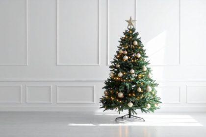 5 priežastys, kodėl verta papuošti eglutę lapkričio mėnesį