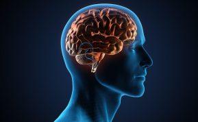 5 smegenų senėjimo požymiai, kuriems neteikiame didelės reikšmės