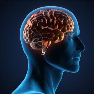 5 smegenų senėjimo požymiai, kuriems neteikiame didelės reikšmės