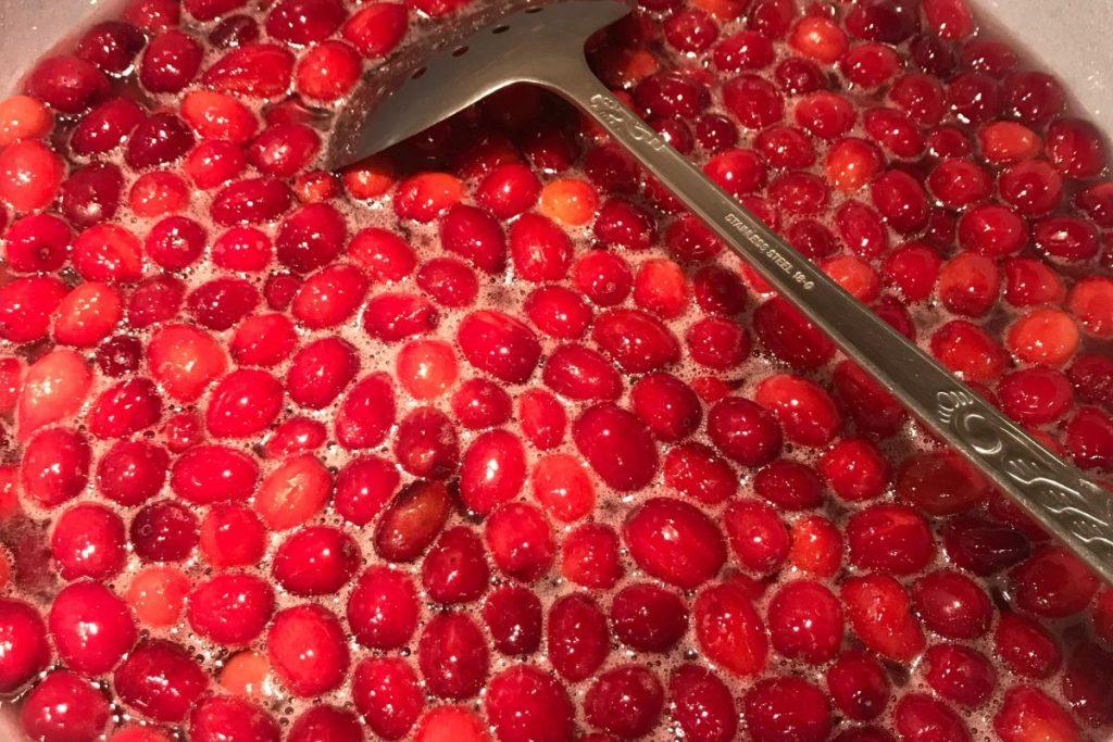 6 išskirtinės spanguolių sulčių savybės kodėl verta gerti kiekvieną dieną. Gėrimas širdies sveikatai