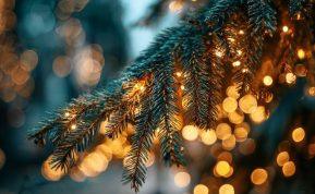 Ant jūsų Kalėdinės eglutės gali būti įvairių gyvių. Neleiskite jiems pasklisti po jūsų namus!