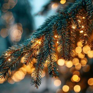 Ant jūsų Kalėdinės eglutės gali būti įvairių gyvių. Neleiskite jiems pasklisti po jūsų namus!