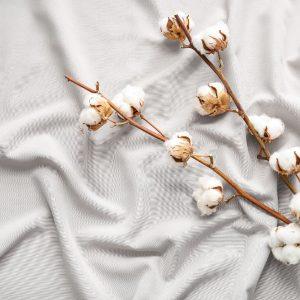 Antklodžių rūšys: kokia geriausia žiemą?