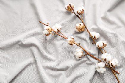 Antklodžių rūšys: kokia geriausia žiemą?