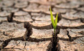 Ar galima per vieną dieną pakeisti savo gyvenimą? Atsakymas netikėtas