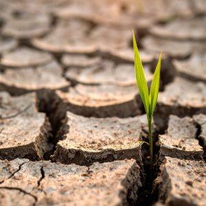 Ar galima per vieną dieną pakeisti savo gyvenimą? Atsakymas netikėtas