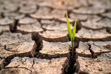 Ar galima per vieną dieną pakeisti savo gyvenimą? Atsakymas netikėtas