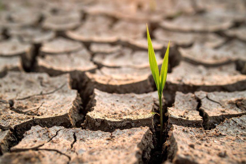 Ar galima per vieną dieną pakeisti savo gyvenimą? Atsakymas netikėtas