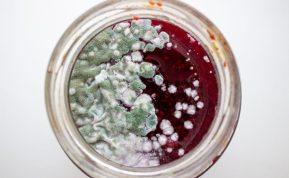 Ar galima valgyti uogienę, jei stiklainyje yra pelėsių?