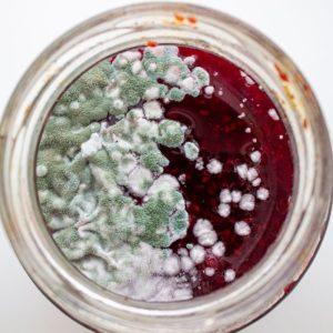 Ar galima valgyti uogienę, jei stiklainyje yra pelėsių?